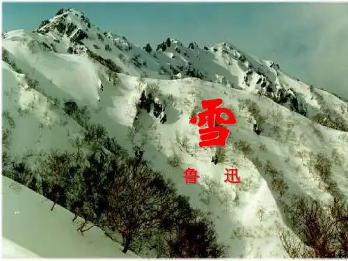 鲁迅我爱你塞北的雪