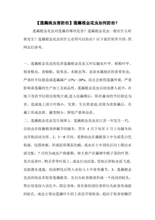 【莲藕病虫害防治】莲藕根金花虫如何防治？