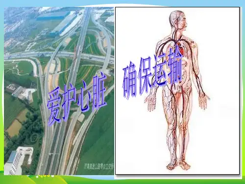 物质运输的载体-课件