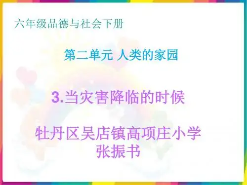 《当灾害降临的时候》PPT课件
