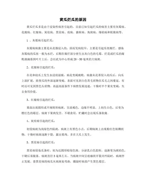 黄瓜烂瓜的原因