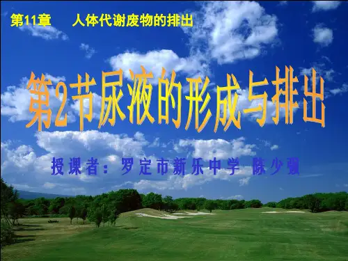第2节_尿液的形成与排出汇总讲解