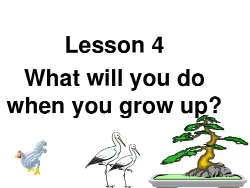 (科普版)六年级英语下册课件 lesson4