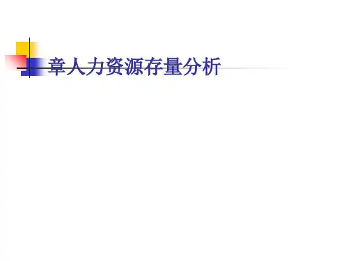 人力资源存量分析(ppt33张)