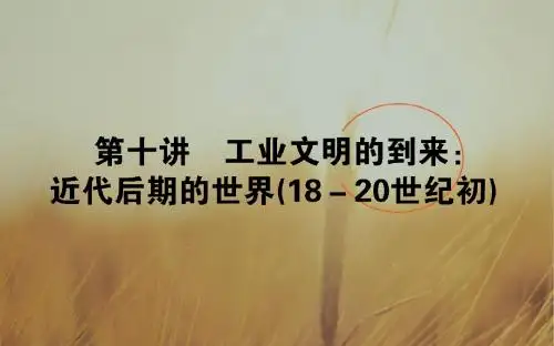 2018年高考历史二轮专题总复习通史版精讲课件：第十讲 工业文明的到来：近代后期的世界18-20世纪初-10 精品