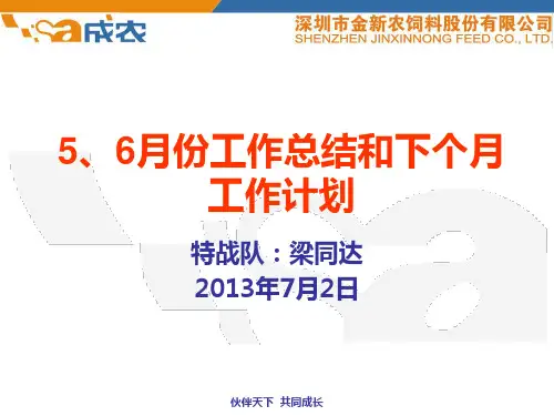 营销工作报告2013年5、6月份(梁同达)