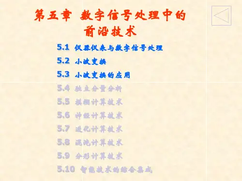 第五章数字信号处理的前沿技术