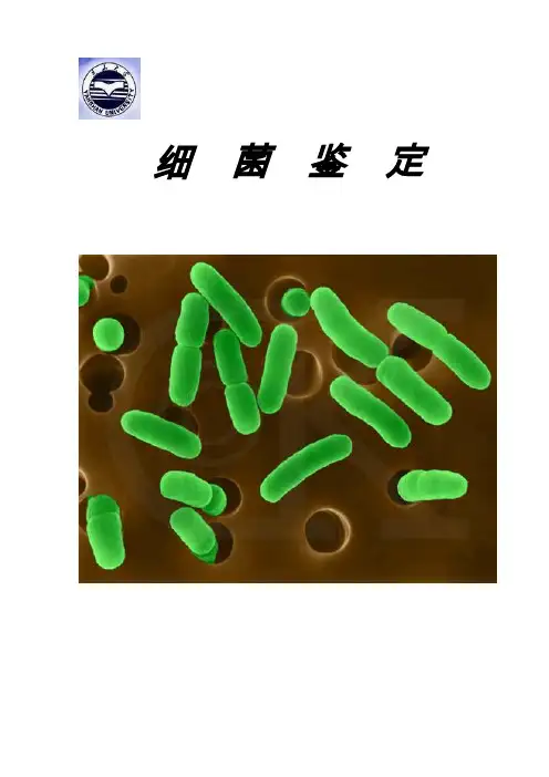 生物学细菌鉴定