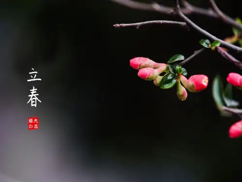绝句 杜甫 PPT课件