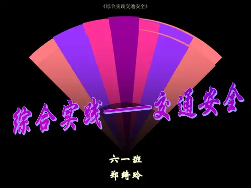 《综合实践交通安全》课件