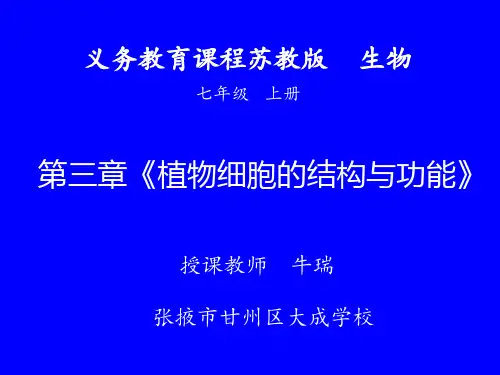 初中生物苏教版七年级上册第一节 植物细胞的结构和功能