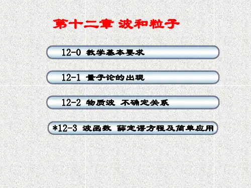 波和粒子