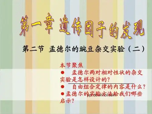 生物必修二1.2孟德尔的豌豆杂交实验(二)