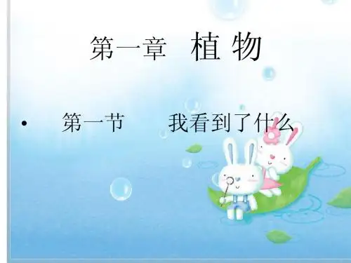 1我看到了什么