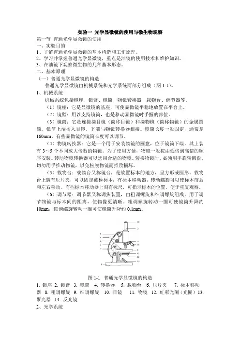 实验一 光学显微镜的使用与微生物观察