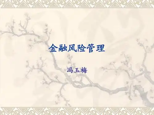 金融风险管理0