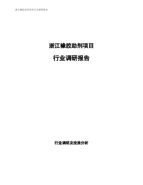 浙江橡胶助剂项目行业调研报告
