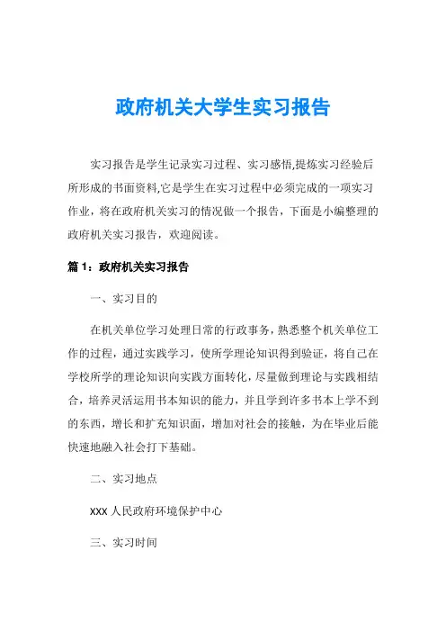 政府机关大学生实习报告
