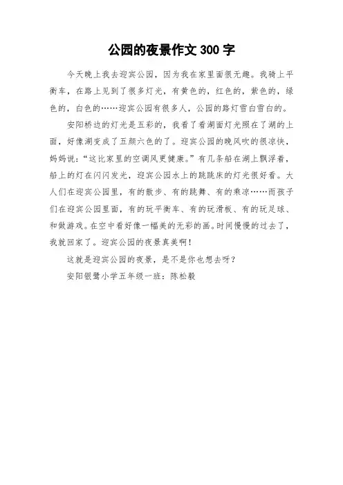 公园的夜景作文300字_作文