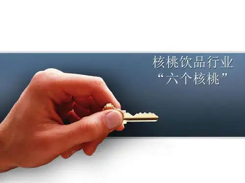 六个核桃  案例分析