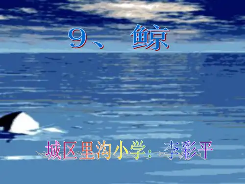 9《鲸》教学PPT课件