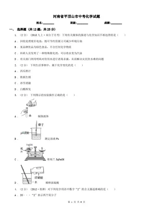 河南省平顶山市中考化学试题 