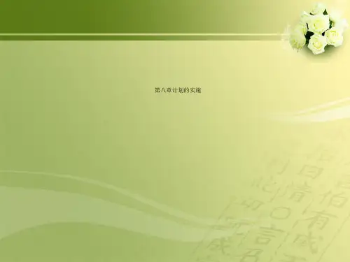 第八章计划的实施