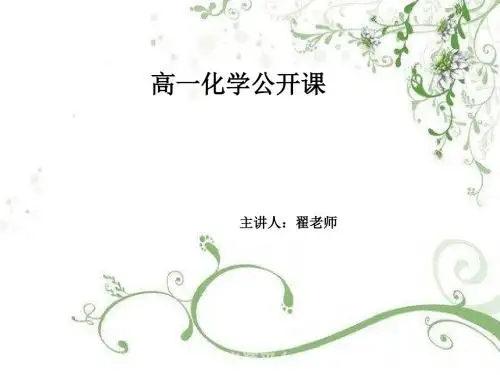 离子反应公开课
