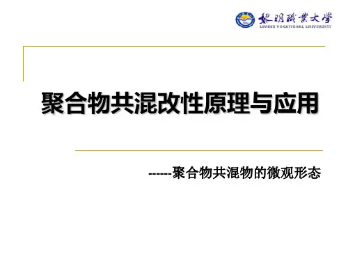 聚合物共混物的微观形态------7次课