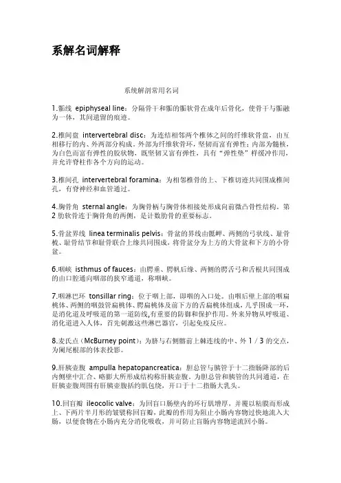 系解名词解释