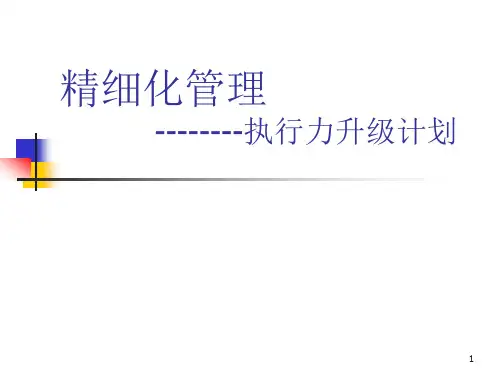 精细化管理执行力升级计划