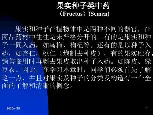 果实种子类中药-中药鉴定学-成人教育教学课件