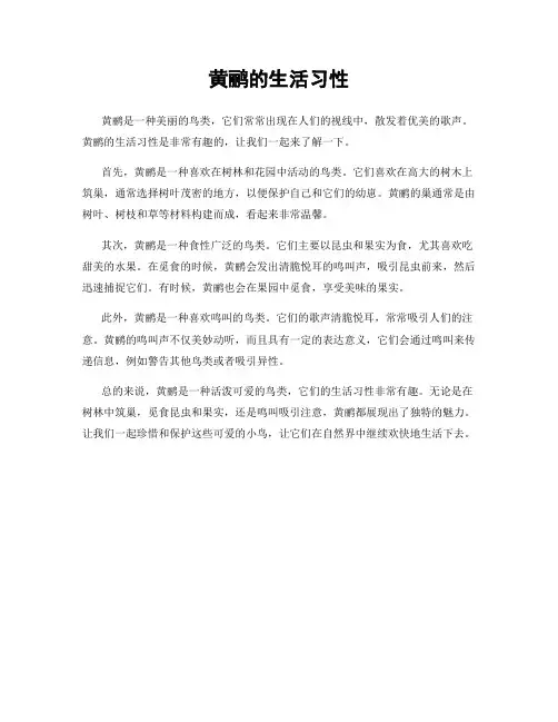黄鹂的生活习性