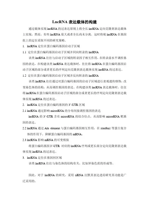 LncRNA表达载体的构建