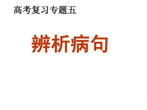 专题5病句