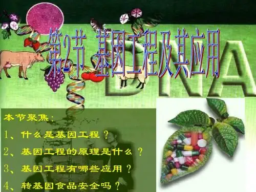 基因工程及其应用