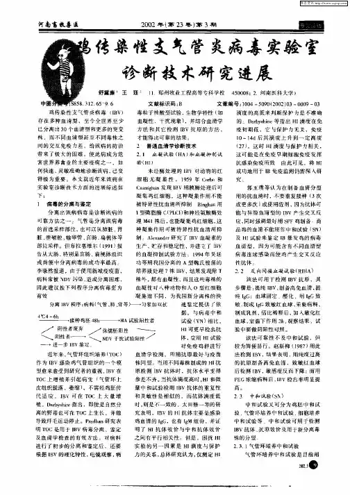 鸡传染性支气管炎病毒实验室诊断技术研究进展