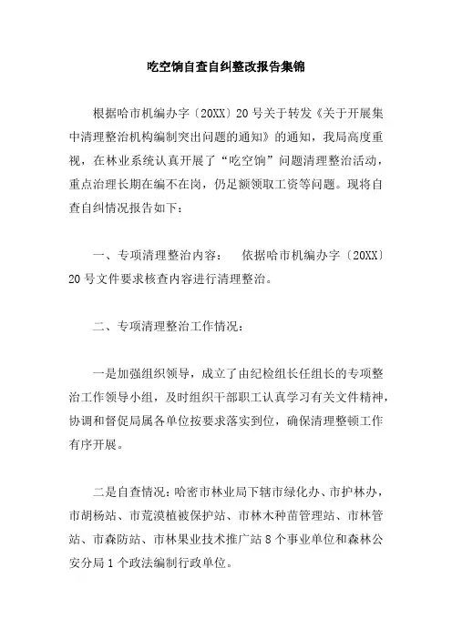吃空饷自查自纠整改报告集锦