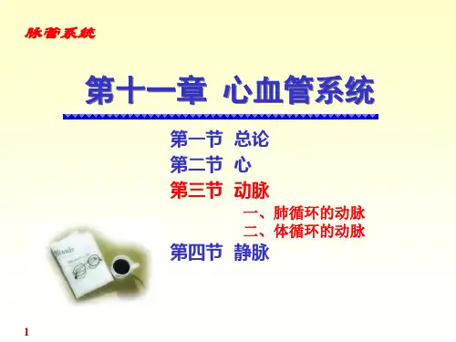 12动脉
