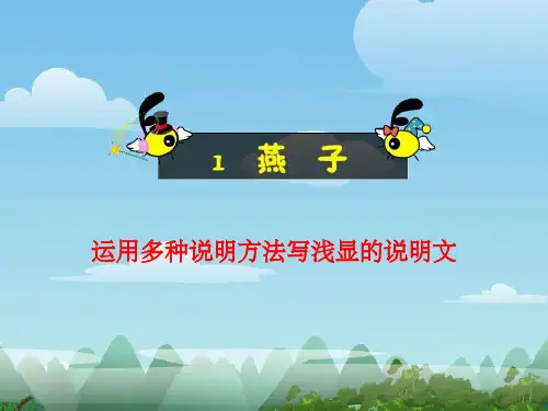 四年级作文 用多种方发写说明文ppt课件