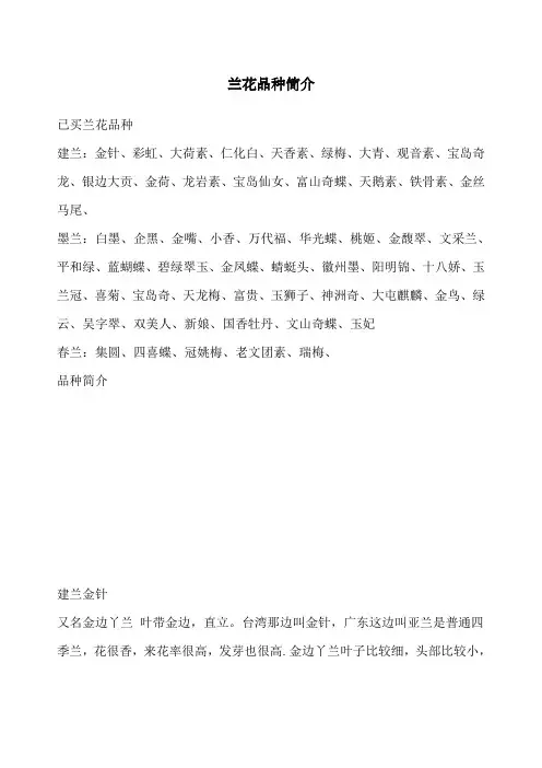 兰花普通品种介绍
