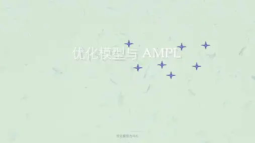 优化模型与AML课件