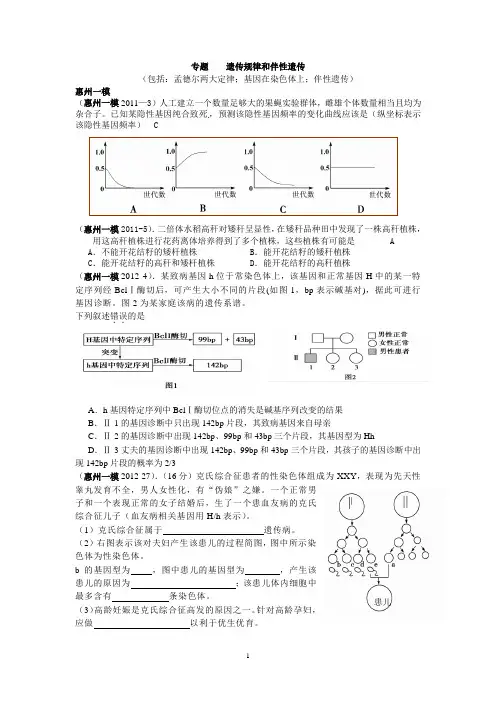 专题  遗传规律和伴性遗传
