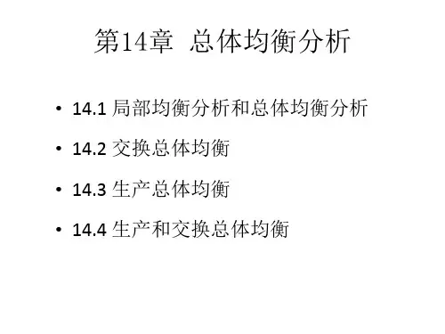 总体均衡分析