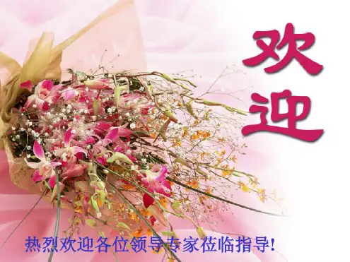 数据集DATASET介绍