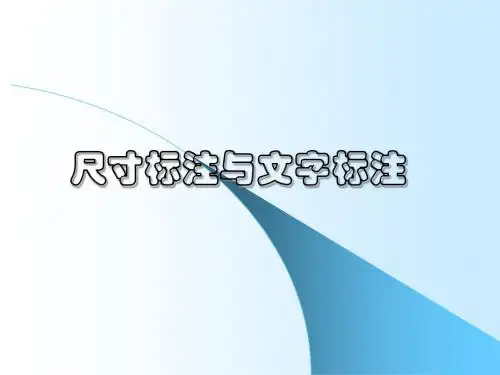 尺寸标注与文字标注
