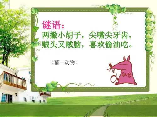第二课可爱的鼠标