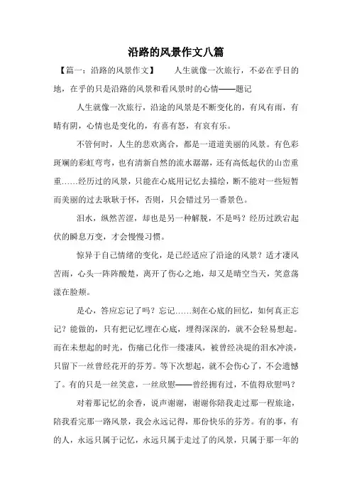 沿路的风景作文八篇.doc