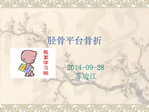 胫骨平台骨折PPT
