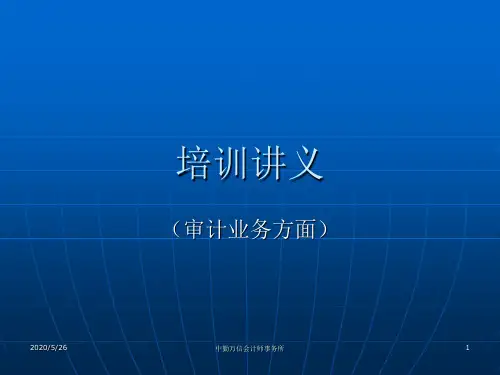审计业务培训讲义